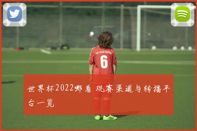 世界杯2022哪看 观赛渠道与转播平台一览