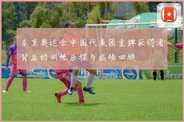 东京奥运会中国代表团金牌获得者背后的训练历程与成绩回顾