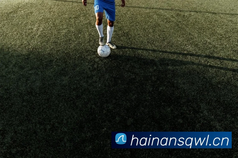 多媒体互动体验